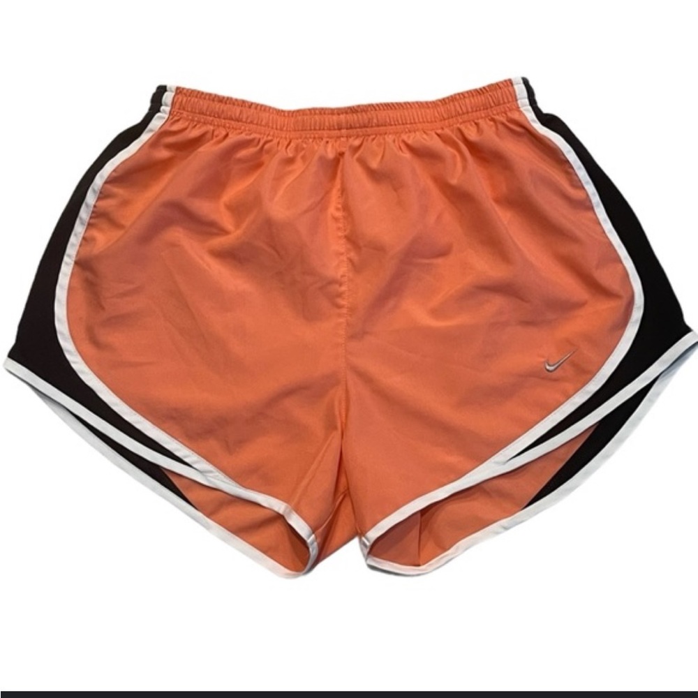 NIKE DRI-fit brief lined shorts. Size large. Pink and blue